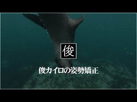 【姿勢矯正】吹田市千里丘のトシオとイクミの俊カイロ