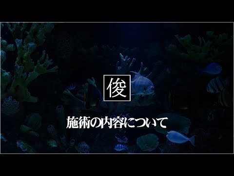 【施術の内容】吹田市千里丘のトシオとイクミの俊カイロ