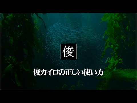 【俊カイロの活用の仕方】吹田市千里丘のトシオとイクミの俊カイロ